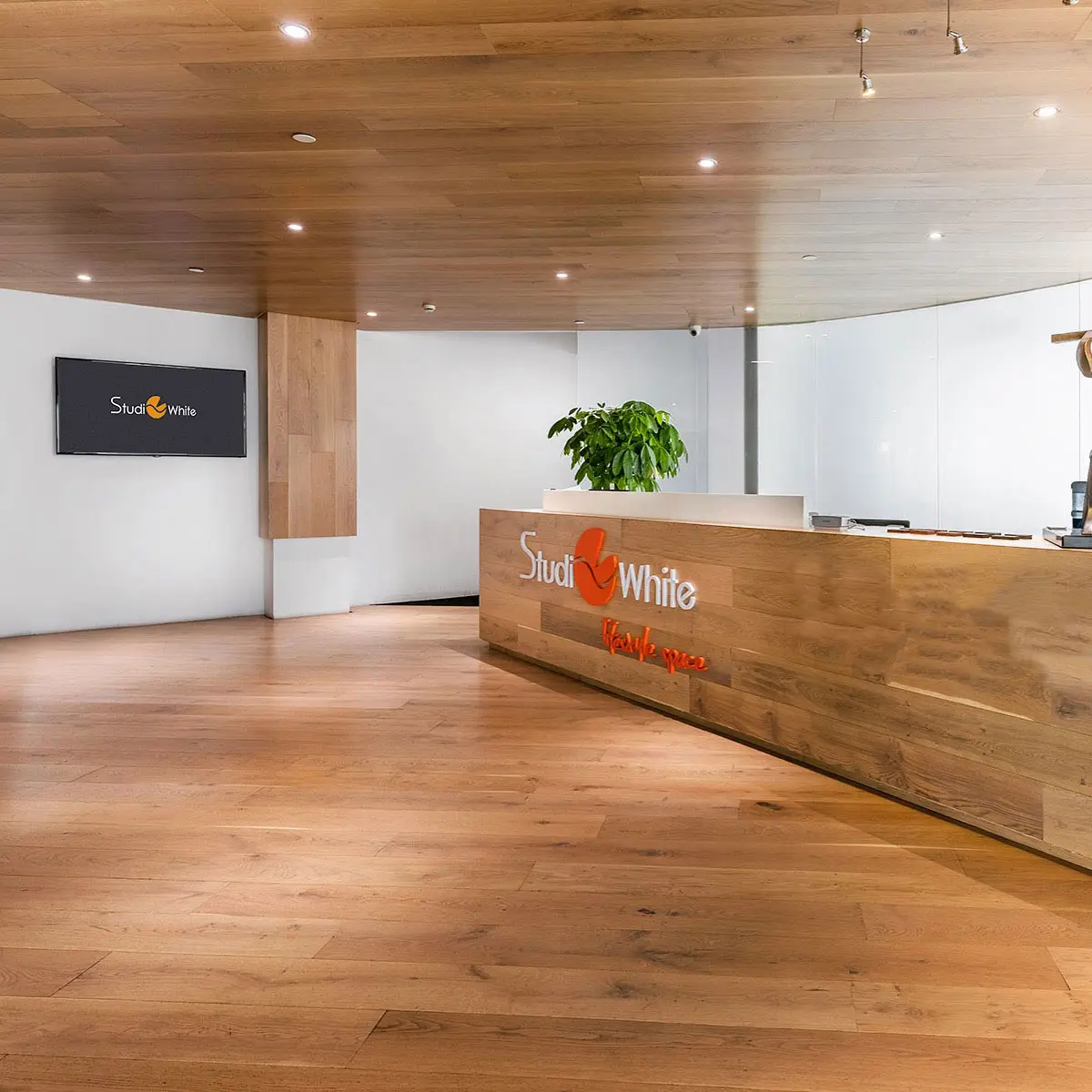 Studio White studio reception with the illuminated logo on a timber wall