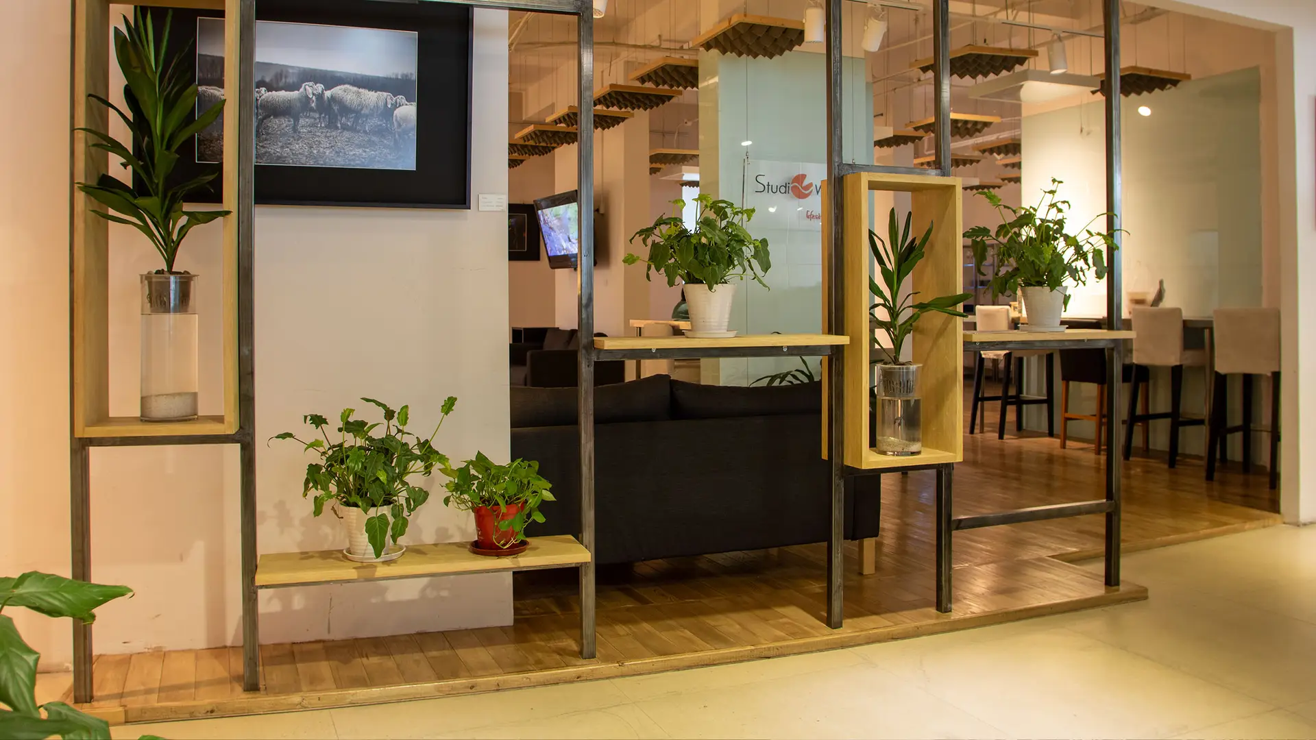 Shared lounge with bar seating, plants and a screen
